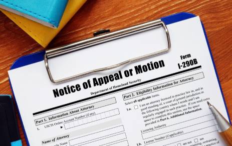 Appeals and Motions